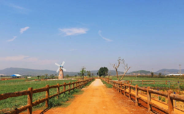 Vẻ đẹp hoang sơ của bãi Me.