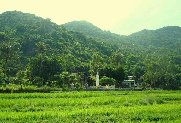 Khung cảnh bình yên bao quanh Chùa Hải Tạng. Khung cảnh bình yên bao quanh Chùa Hải Tạng.