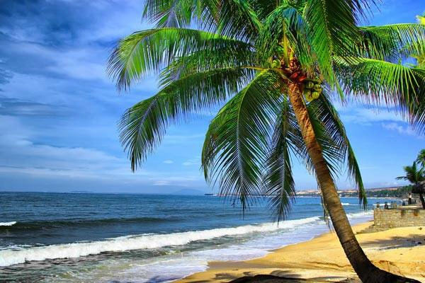 Bãi biển Phan Thiết trong xanh và yên bình. Bãi biển Phan Thiết trong xanh và yên bình.