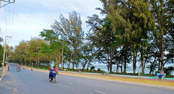 Du khách sẽ được tự do dạo biển. Du khách sẽ được tự do dạo biển.