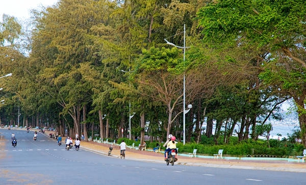Con đường xinh đẹp chạy dọc theo biển Đồi Dương. Con đường xinh đẹp chạy dọc theo biển Đồi Dương.