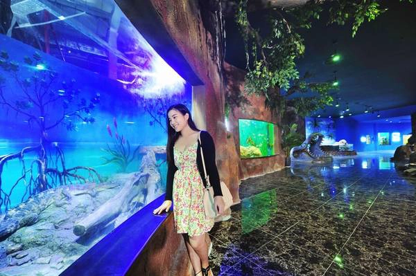 Tha hồ nhìn ngắm những loài sinh vật biển độc đáo.