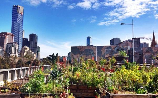 Melbourne: Giá phòng trung bình là 91 Bảng Anh (khoảng 2,98 triệu đồng), giảm 14% so với cùng kỳ năm ngoái.