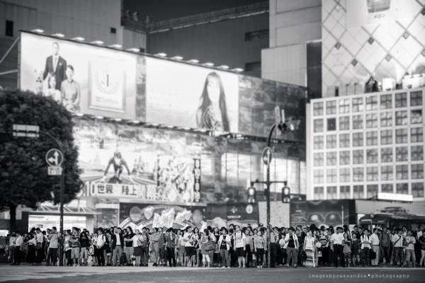 7h tối: Lúc này, bạn hãy đi đến Shibuya để cảm nhận hết vẻ đẹp về đêm của Tokyo. Đường đi cũng khá đơn giản, chỉ cần đi tuyến Yurikamome đến Shimbashi, sau đó chuyển tuyến sang Yamanote để đi đến Shibuya.