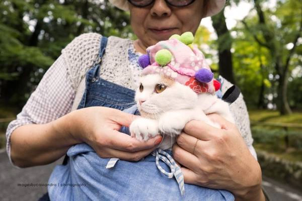 8h sáng: Đừng ngần ngại bắt chuyện với một người dân địa phương khi đi dạo trong công viên, vì đây sẽ là cơ hội để bạn được lắng nghe những câu chuyện thú vị về cuộc sống từ họ. Ảnh: Cassandra O'Leary
