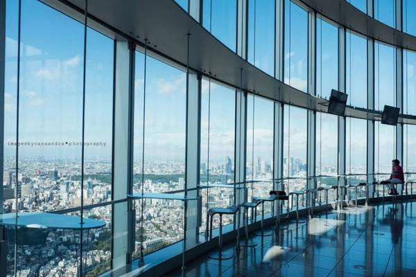 10h sáng: Nếu bạn muốn nhìn ngắm toàn cảnh Tokyo từ trên cao, đừng quên ghé qua tầng thứ 53 của tòa tháp Mori Tower. Nơi đây chỉ mở cửa đón khánh từ lúc 10 giờ sáng, tuy nhiên tốt nhất bạn vẫn nên ghé sớm một chút để tận hưởng không gian thưởng ngọn tốt nhất. Đặc biệt, khi ghé thăm nơi đây vào những ngày đẹp trời, bạn cũng sẽ có cơ hội nhìn thấy núi Phú Sĩ. Ảnh: Cassandra O'Leary