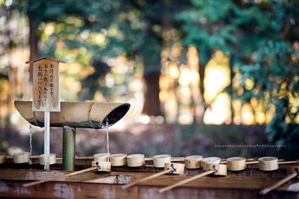 12h trưa: Đây là lúc mà bạn sẽ nhìn thấy các công nhân viên, sinh viên, người lớn tuổi tìm đến bóng mát và không khí trong lành tại những khu công viên của thành phố để nghỉ ngơi. Và bạn, một du khách từ phương xa, cũng nên có một phú12h trưa: Đây là lúc mà bạn sẽ nhìn thấy các công nhân viên, sinh viên, người lớn tuổi tìm đến bóng mát và không khí trong lành tại những khu công viên của thành phố để nghỉ ngơi. Và bạn, một du khách từ phương xa, cũng nên có một phút tĩnh lặng để nhớ lại những điều tuyệt vời mà mình đã trải qua ở Tokyo. Ảnh: Cassandra O'Leary