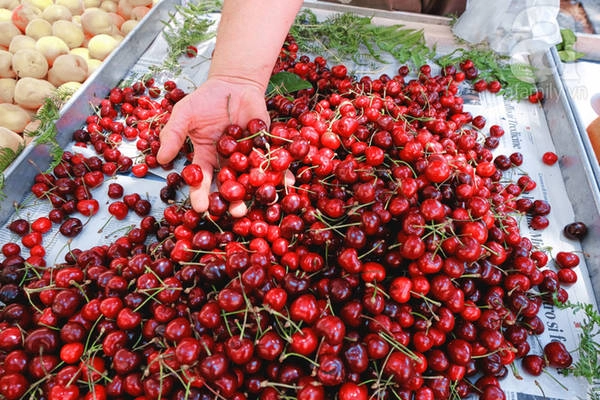 Giờ đang vào mùa cherry bạn có thể mua cherry với giá chừng 2 euro 1 cân. Giờ đang vào mùa cherry bạn có thể mua cherry với giá chừng 2 euro 1 cân.
