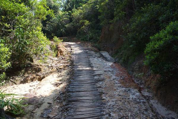 Đường tạm. Ảnh: Tran Ngoc Tai Đường tạm. Ảnh: Tran Ngoc Tai