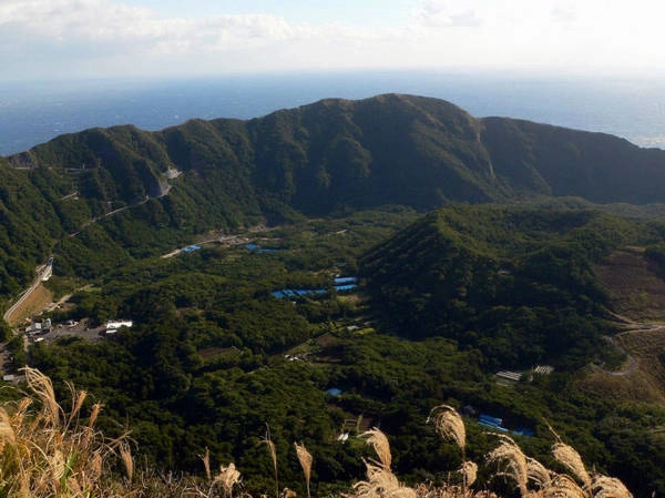 Hệ thực vật xanh tươi bên trong đảo Aogashima - Ảnh: whenonearth trai-nghiem-dao-nui-lua-o-aogashima-ivivu-4
