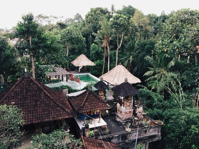 View từ phòng của Thảo Anh ở Ubud View từ phòng của Thảo Anh ở Ubud