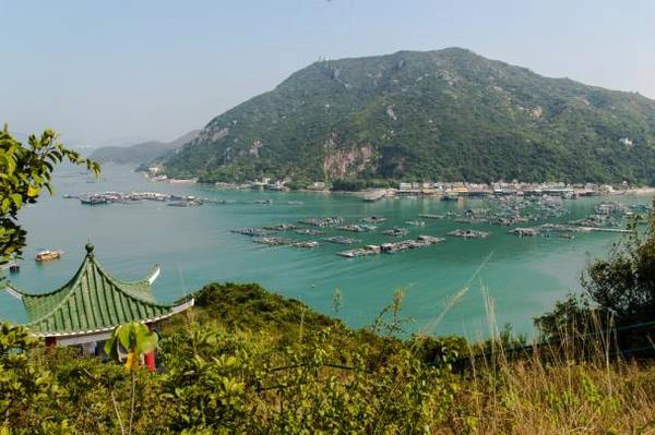 trai-nghiem-du-lich-hong-kong-theo-so-thich-cua-ban-ivivu-4