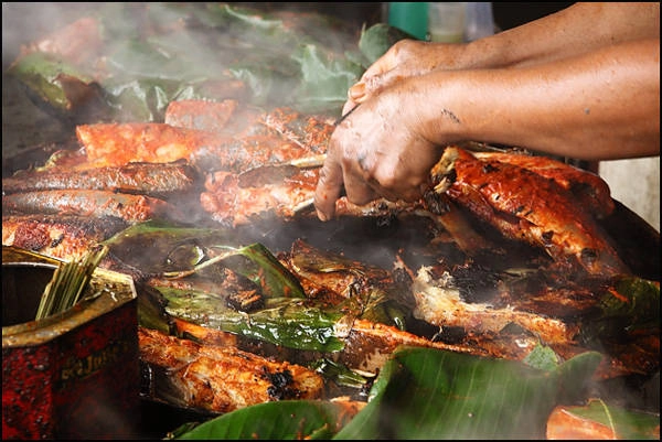 Trải nghiệm khác lạ ở Borneo, bờ đông Malaysia