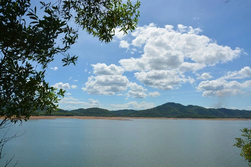 Trong veo Kẻ Gỗ. Trong veo Kẻ Gỗ.