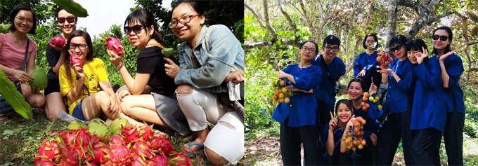 Bạn sẽ có dịp thăm những vườn chôm chôm, nhãn, bưởi, thanh long ruột đỏ; tự tay hái quả trên cây và thưởng thức thoả thích. Vì đặc sản chính là trái cây nên bạn vẫn có thể tự hái và mua trực tiếp tại vườn để mang về làm quà. Bạn sẽ có dịp thăm những vườn chôm chôm, nhãn, bưởi, thanh long ruột đỏ; tự tay hái quả trên cây và thưởng thức thoả thích. Vì đặc sản chính là trái cây nên bạn vẫn có thể tự hái và mua trực tiếp tại vườn để mang về làm quà.
