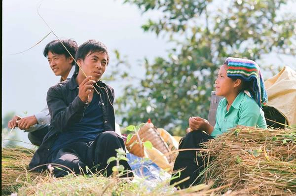Nụ cười mùa gặt của những chàng trai, cô gái đang tuổi thanh xuân.