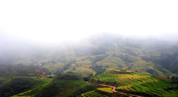 Đến Y Tý mùa này là lý tưởng, khi có lúa, mây, nắng, có sương, và đương nhiên, vẫn còn đó những ánh mắt hồn hậu của người Hà Nhì. Tuy nhiên, sau một “tháng ngâu”, những con đường lên Y Tý đã khó khăn hơn rất nhiều, bởi đất đá từ trên núi có thể sạt lở bất cứ lúc nào. Dù có đam mê và dấn thân đến đâu, bạn cũng nên cẩn thận với những cung đường có cảnh báo sạt lở. Mặt đường đã xấu đi nhiều trong vài năm trở lại đây với mật độ xây dựng ngày càng dày đặc ở các xã vùng cao. Trải nghiệm Y Tý với sớm nắng, chiều mưa, buổi trưa mù mịt