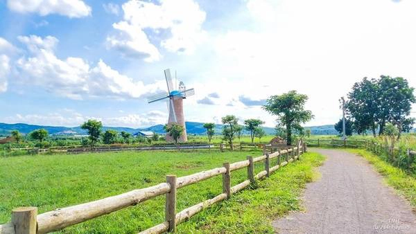 Trước khi mở tour cho khách tham quan từ đầu tháng 7, trang trại bò sữa xã Tu Tra, huyện Đơn Dương, tỉnh Lâm Đồng đã mở cửa đón khách. Do lượng khách đến ngày càng đông nên trang trại đã mở tour cho khách đăng ký trước. Ảnh: Trần Minh Hiếu.