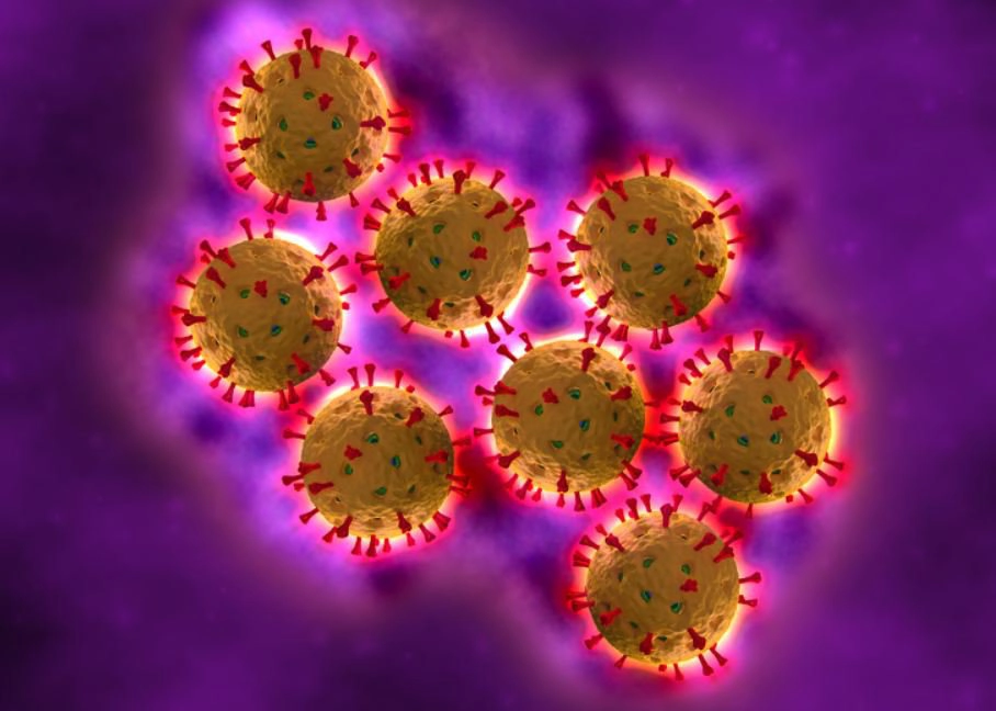 Rota virus