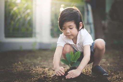 Cho trẻ gần gũi với thiên nhiên