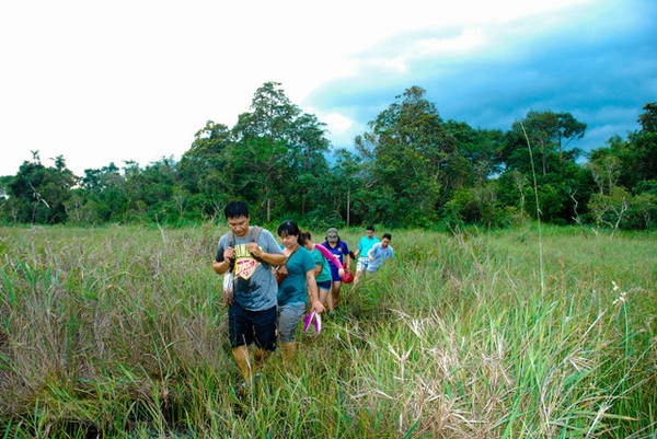 Bạn trẻ trong chuyến trekking ở Bưng Thị - Ảnh: N.D Bạn trẻ trong chuyến trekking ở Bưng Thị - Ảnh: N.D