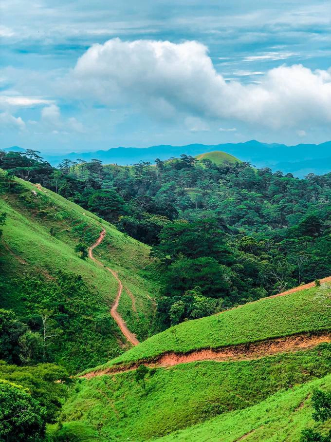 trekking-ta-nang-mua-co-phu-xanh-ca-ngon-doi-iVIVU-1