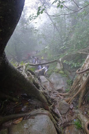 Trekking núi Bà Đen - iVIVU.com