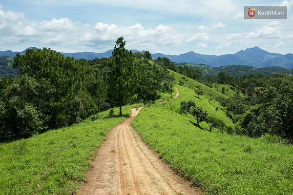 trekking-va-cam-trai-o-doi-ta-nang-di-de-thay-minh-con-tre-va-con-nhieu-noi-phai-chinh-phuc-ivivu-17