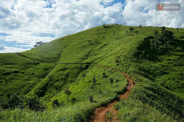 trekking-va-cam-trai-o-doi-ta-nang-di-de-thay-minh-con-tre-va-con-nhieu-noi-phai-chinh-phuc-ivivu-2