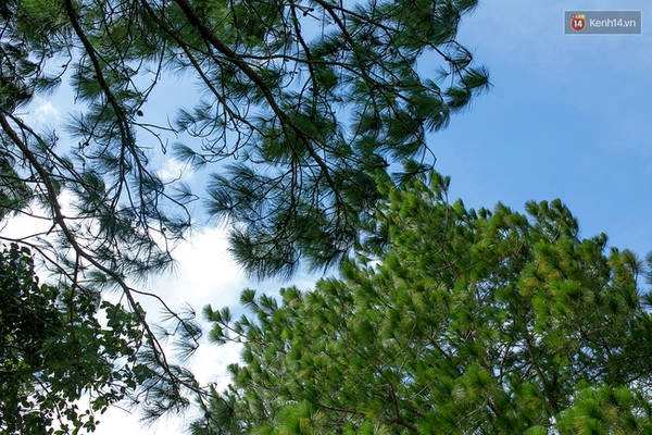 trekking-va-cam-trai-o-doi-ta-nang-di-de-thay-minh-con-tre-va-con-nhieu-noi-phai-chinh-phuc-ivivu-24