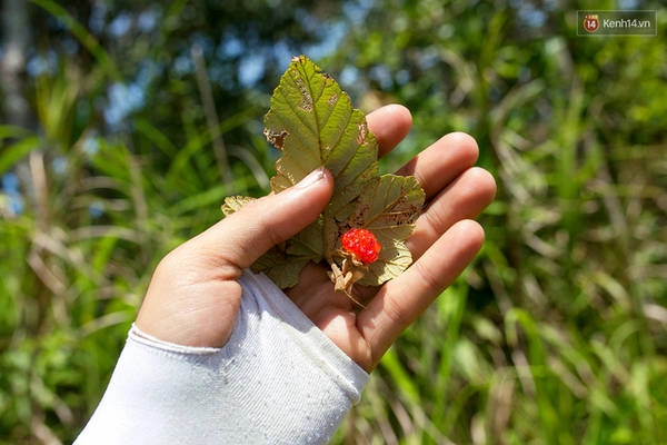 trekking-va-cam-trai-o-doi-ta-nang-di-de-thay-minh-con-tre-va-con-nhieu-noi-phai-chinh-phuc-ivivu-27
