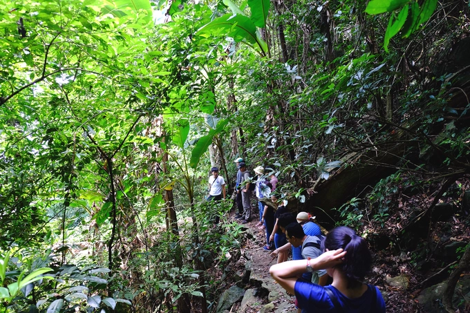 Hiện Vườn quốc gia Ba Vì mở thêm nhiều chặng trek ngắn phù hợp cho cả người nghiệp dư lẫn chuyên nghiệp. Trong đó có tuyến đi dễ kéo dài khoảng 2 tiếng bắt đầu từ Cốt 1.100 m hướng xuống Cốt 400 m. Hiện Vườn quốc gia Ba Vì mở thêm nhiều chặng trek ngắn phù hợp cho cả người nghiệp dư lẫn chuyên nghiệp. Trong đó có tuyến đi dễ kéo dài khoảng 2 tiếng bắt đầu từ Cốt 1.100 m hướng xuống Cốt 400 m.