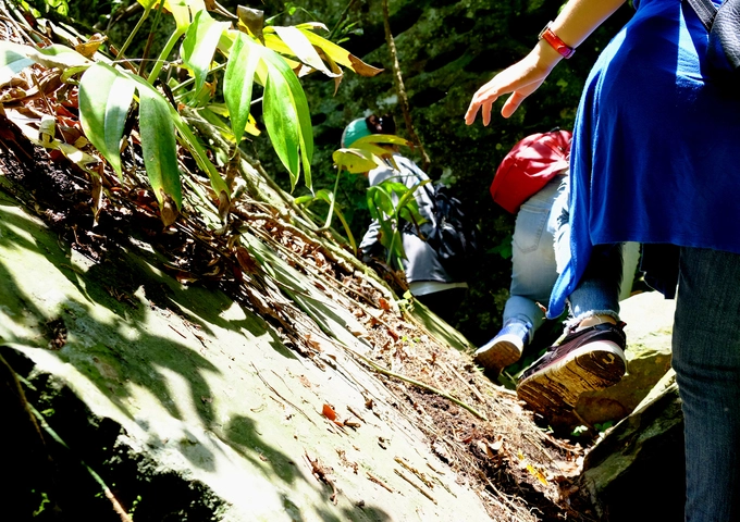 Đi trek trong rừng bạn chú ý chuẩn bị giày, tất, nên mặc quần áo dài, đội mũ, dùng thuốc xịt côn trùng... Đồ đạc mang theo cần gọn nhẹ, nên đeo balô để cân bằng khi di chuyển. Chuyến đi ngắn nên bạn không nhất thiết phải mang theo nhiều đồ ăn, nước uống. Đi trek trong rừng bạn chú ý chuẩn bị giày, tất, nên mặc quần áo dài, đội mũ, dùng thuốc xịt côn trùng... Đồ đạc mang theo cần gọn nhẹ, nên đeo balô để cân bằng khi di chuyển. Chuyến đi ngắn nên bạn không nhất thiết phải mang theo nhiều đồ ăn, nước uống.