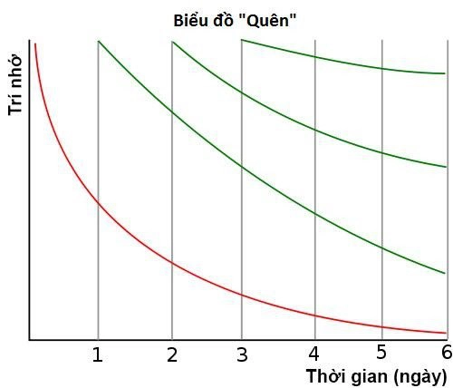 rèn luyện trí nhớ