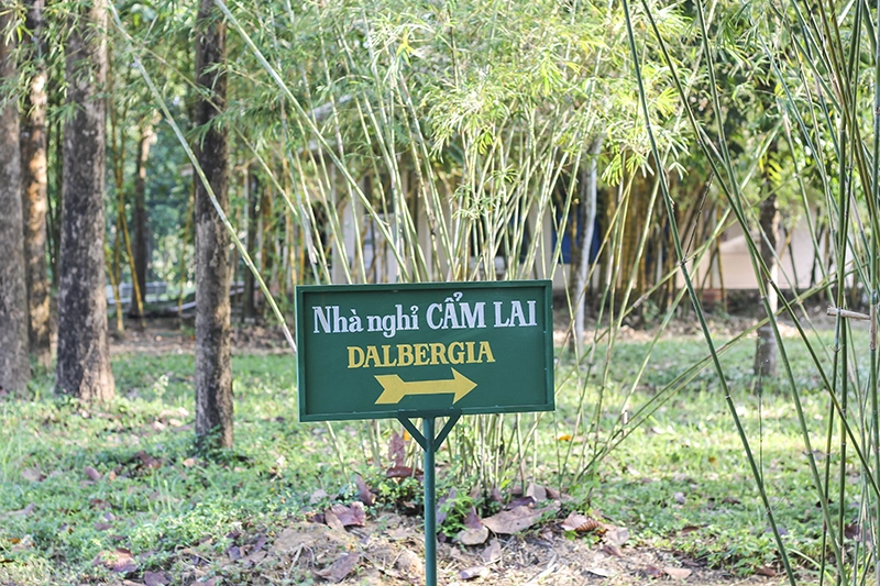 tro-ve-mien-hoang-da-cat-tien-ivivu-2