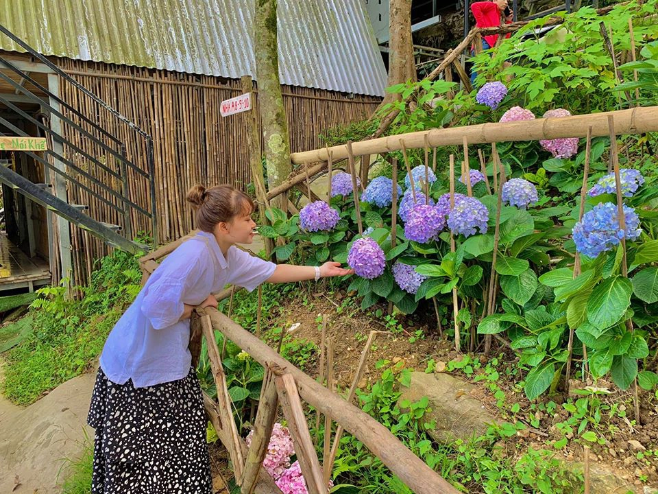 Ảnh: @90s homestay Tam Đảo 