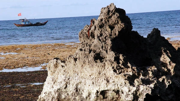 Sóng nước, rong rêu và đá núi hiền hòa bên nhau hàng triệu năm ở Hang Câu - Ảnh: Trần Mai Sóng nước, rong rêu và đá núi hiền hòa bên nhau hàng triệu năm ở Hang Câu - Ảnh: Trần Mai