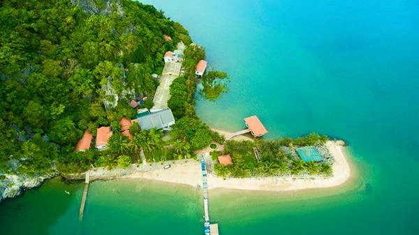 Ảnh: FB Bánh Sữa Island