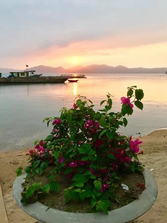 Ảnh: FB Bánh Sữa Island Ảnh: FB Bánh Sữa Island