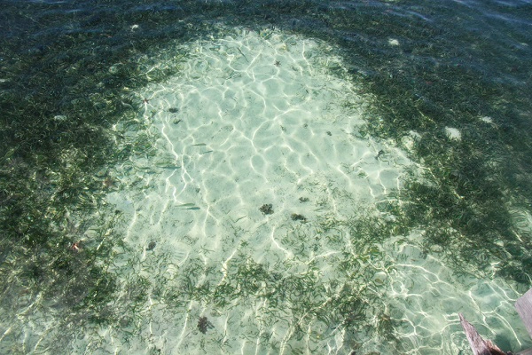 tu-cebu-den-manila-hanh-trinh-7-ngay-kham-pha-philippines-ivivu-6