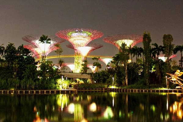 Những siêu cây năng lượng mặt trời ở Gardens by the Bay.