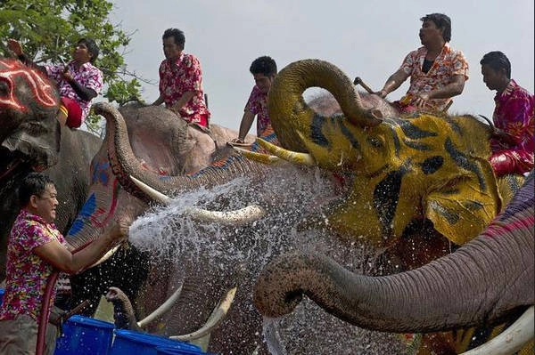 Hoạt động té nước là một phần không thể thiếu trong lễ hội Songkran