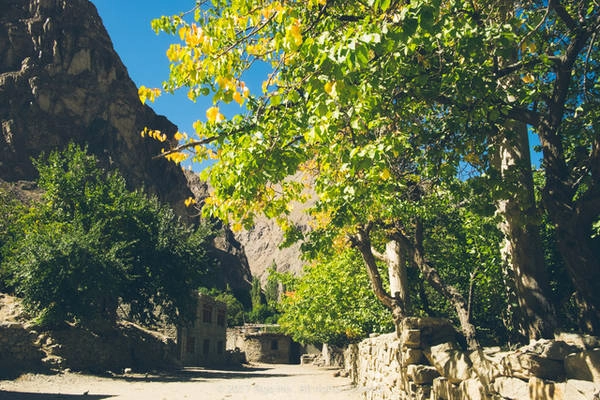 Đường trek lên view point Ảnh: Mai Hương Đường trek lên view point Ảnh: Mai Hương
