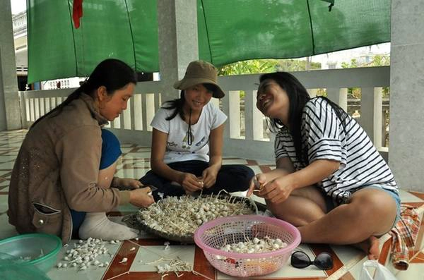 Cùng làm tỏi và bữa cơm ấm cúng cùng với người dân trên đảo Lý Sơn.