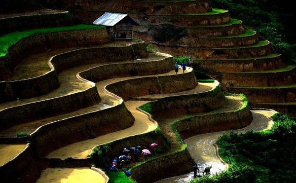 Những thửa ruộng nối đuôi nhau, ngoằn ngoèo từ dãy núi này sang dãy núi khác. 