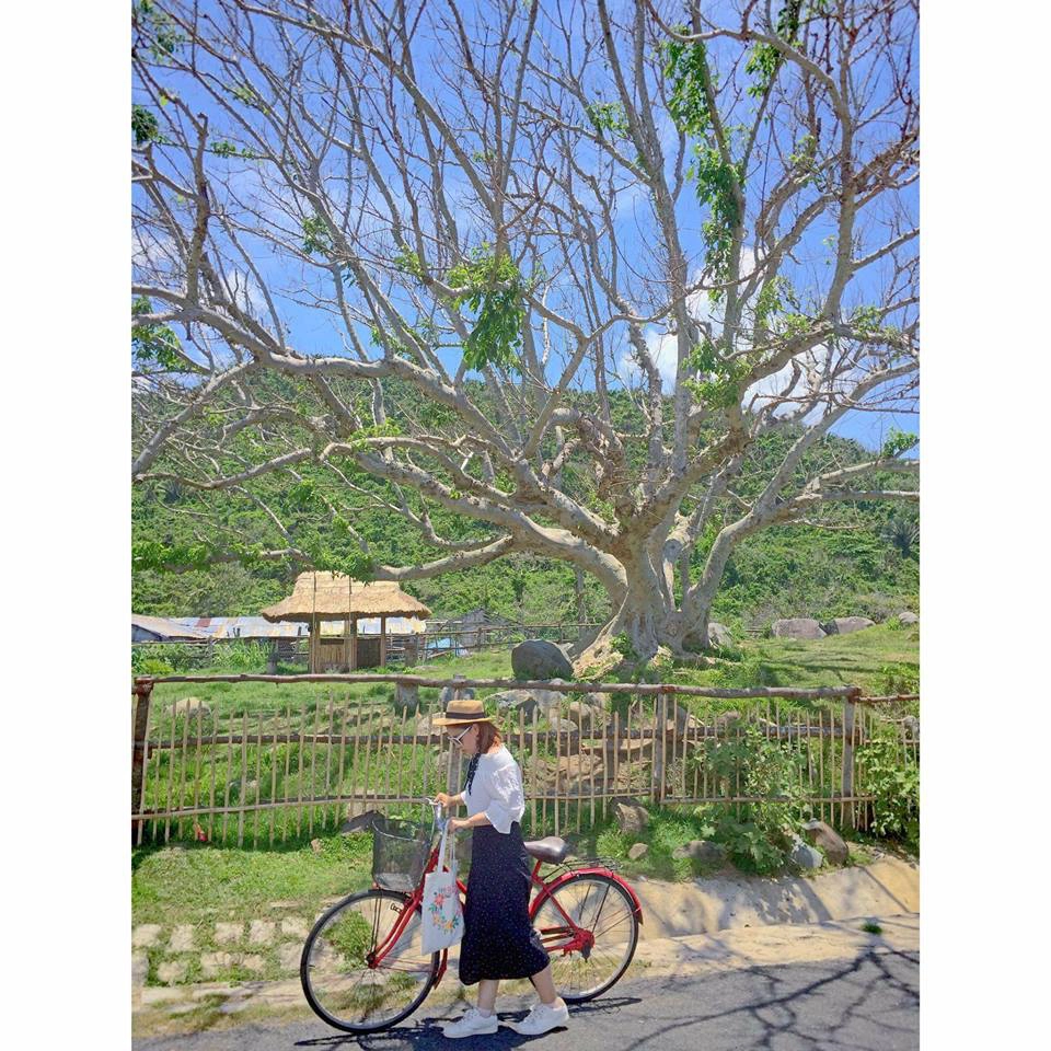 DU-LICH-PHU-YEN-IVIVU-15