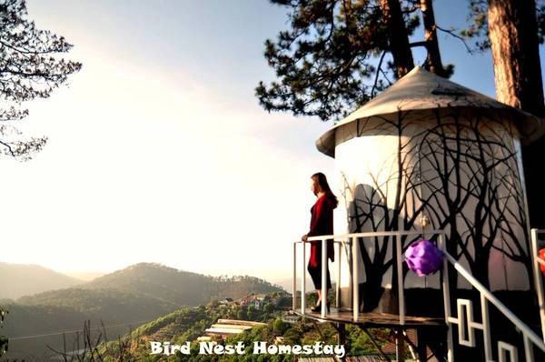 Ảnh: FB Tổ Chim Homestay 