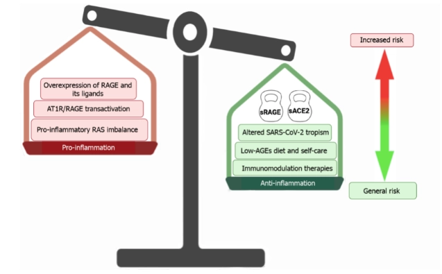 hệ thống renin-angiotensin