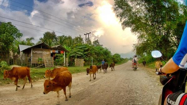 Vang Vieng ngày nay là một thị trấn của du khách ba lô, từ châu Âu đến châu Á, bất kể du khách nào khi đến với đất nước Triệu Voi đều ghé qua thị trấn này trong vài ngày để thư giãn và vui chơi giải trí. Ảnh: Marcaux Vang Vieng ngày nay là một thị trấn của du khách ba lô, từ châu Âu đến châu Á, bất kể du khách nào khi đến với đất nước Triệu Voi đều ghé qua thị trấn này trong vài ngày để thư giãn và vui chơi giải trí. Ảnh: Marcaux