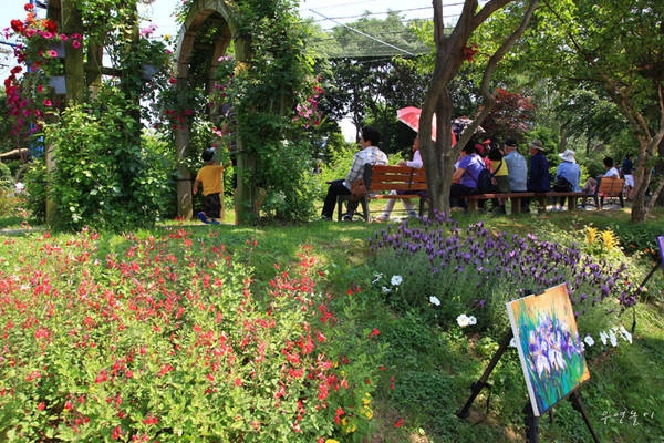 Lễ hội hoa hồng ở Seoul Grand Park 